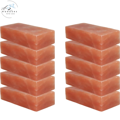 Himalayan Pink Salt Bricks 8″x4″x2″- Pack of 10 for Sauna & Spa