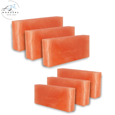 Himalayan Pink Salt Bricks 8″x4″x1″- Pack of 6 for Sauna & Spa