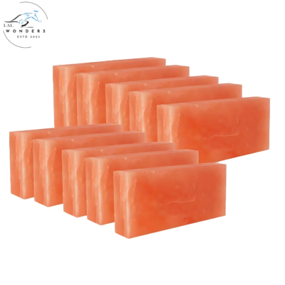 Himalayan Pink Salt Bricks 8″x4″x2″- Pack of 20 for Sauna & Spa