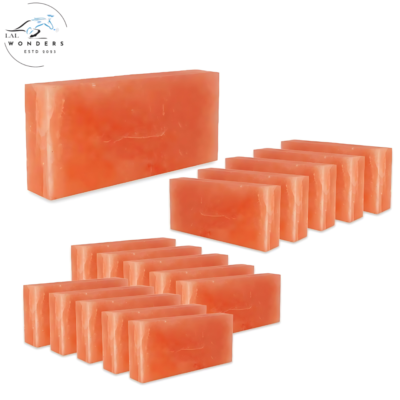 Himalayan Pink Salt Bricks 8″x4″x2″- Pack of 500 for Sauna & Spa